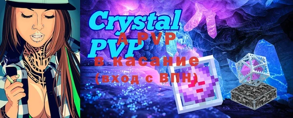 apvp Бикин