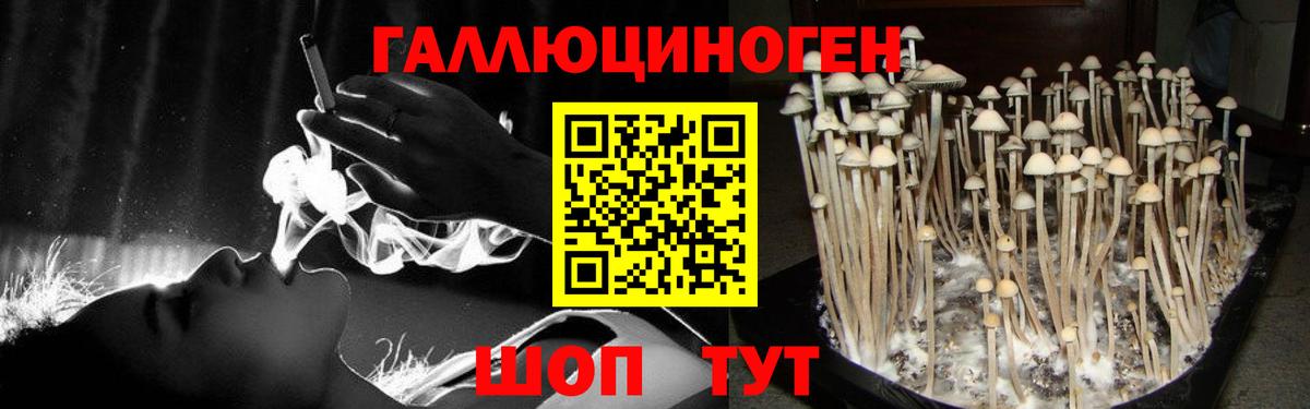 Псилоцибиновые грибы мицелий Клинцы