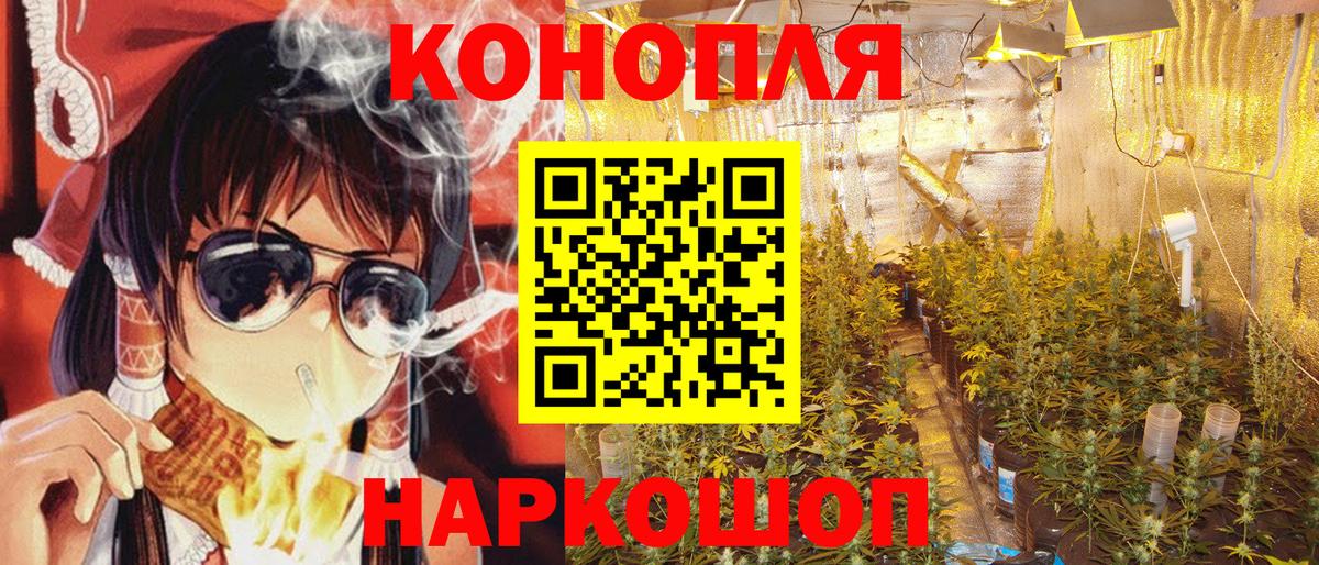 Клинцы  Канабис индика  Бошки Шишки планчик  Бошки марихуана Ganja  Шишки марихуана индика  Вход с VPN 